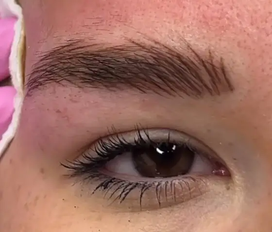 Close-up of brown eye with defined lashes and freshly styled brow.